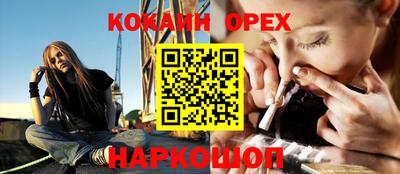 jwh Кингисепп