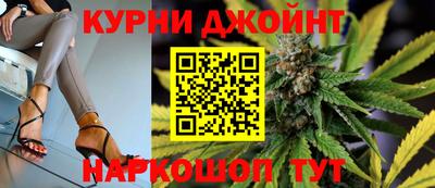 jwh Кингисепп