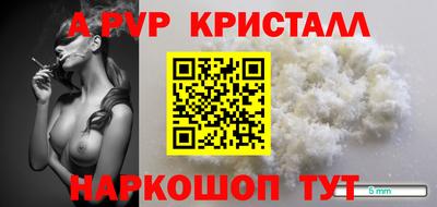 стаф Кимры