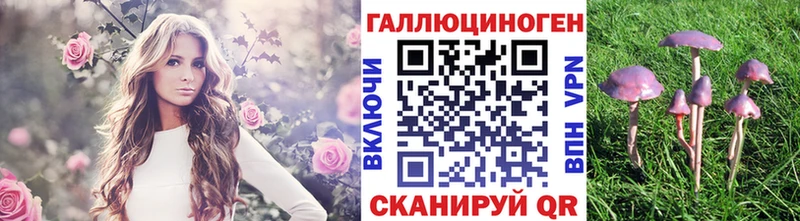 Галлюциногенные грибы Psilocybine cubensis  Дюртюли 